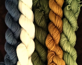 Hand Dyed Gradient Set Mini Skeins "Moss" SW Merino/Nylon 100Grams