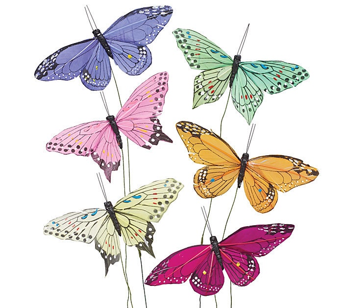 Butterfly Picks Floral Supplies Ideal for Wedding Centerpieces, Crafts ...