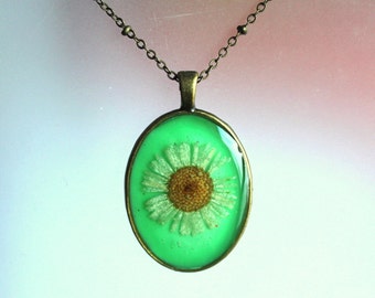 White Daisy Real Pressed Wildflower Bronze Resin Green Oval Jewelry Pendant Necklace