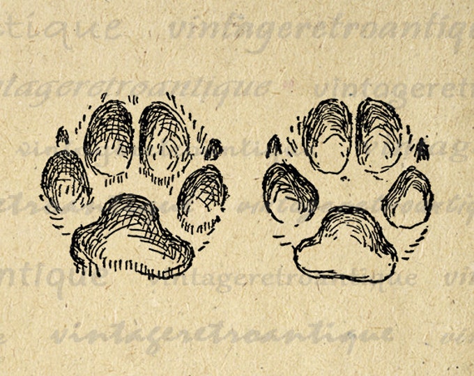 Paw Prints Digital Image Printable Dog Paw Graphic Illustration Download Jpg Png Eps HQ 300dpi No.984