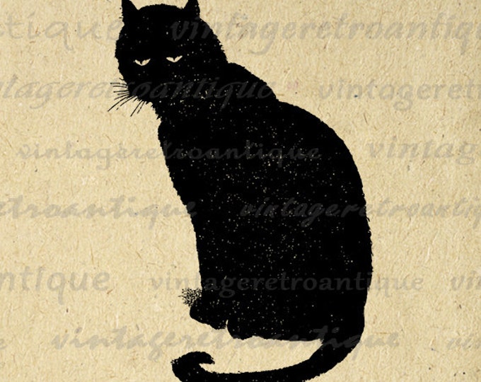 Printable Cat Image Download Black Cat Graphic Digital Artwork Vintage Clip Art Jpg Png Eps HQ 300dpi No.3805