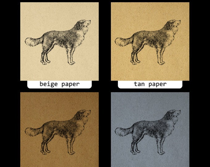 Antique Dog Digital Printable Image Download Graphic Jpg Png Eps HQ 300dpi No.279