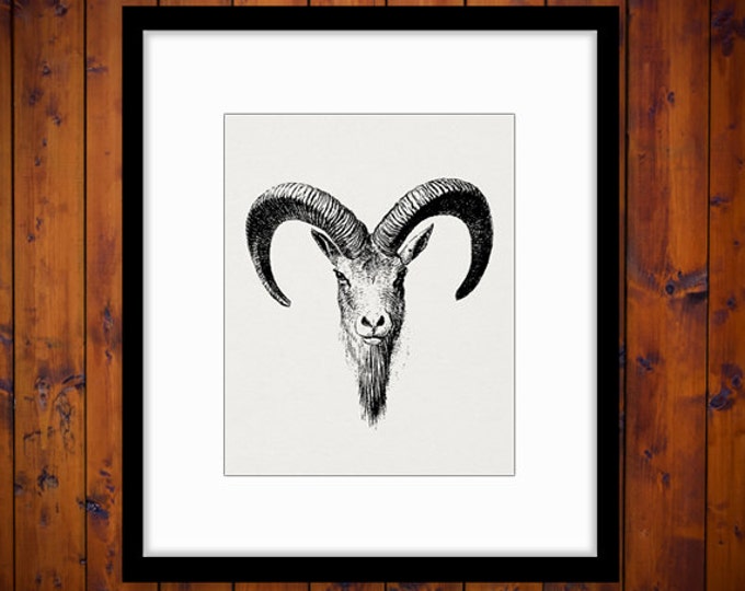 Antique Goat Digital Printable Image Ram Horns Graphic Download Jpg Png Eps HQ 300dpi No.481