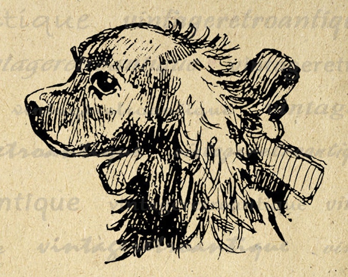 Cocker Spaniel Dog Printable Digital Image Illustration Download Graphic Vintage Clip Art Jpg Png Eps HQ 300dpi No.3118