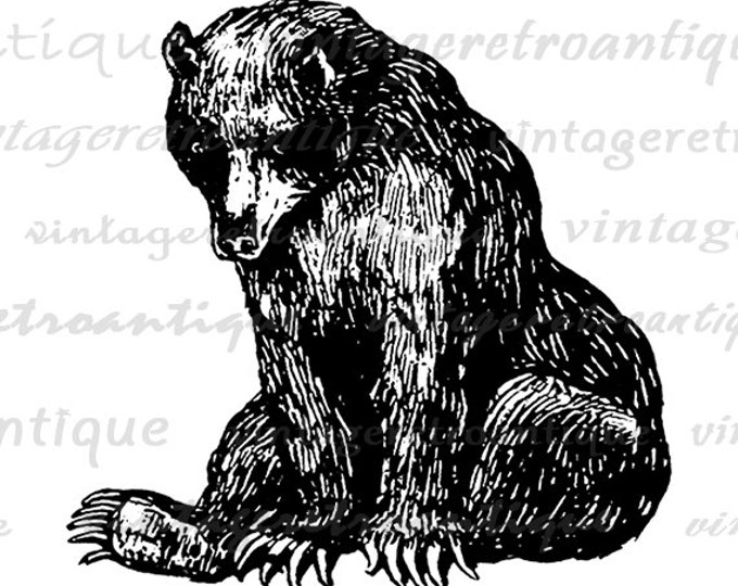 Digital Image Bear Graphic Illustration Printable Download Vintage Clip Art Jpg Png Eps HQ 300dpi No.3198