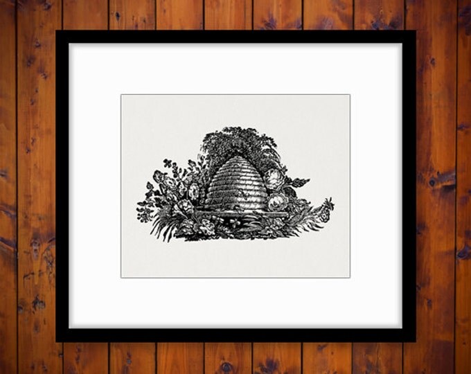 Digital Beehive Image Download Bee Printable Graphic Artwork Antique Clip Art Jpg Png Eps HQ 300dpi No.4116