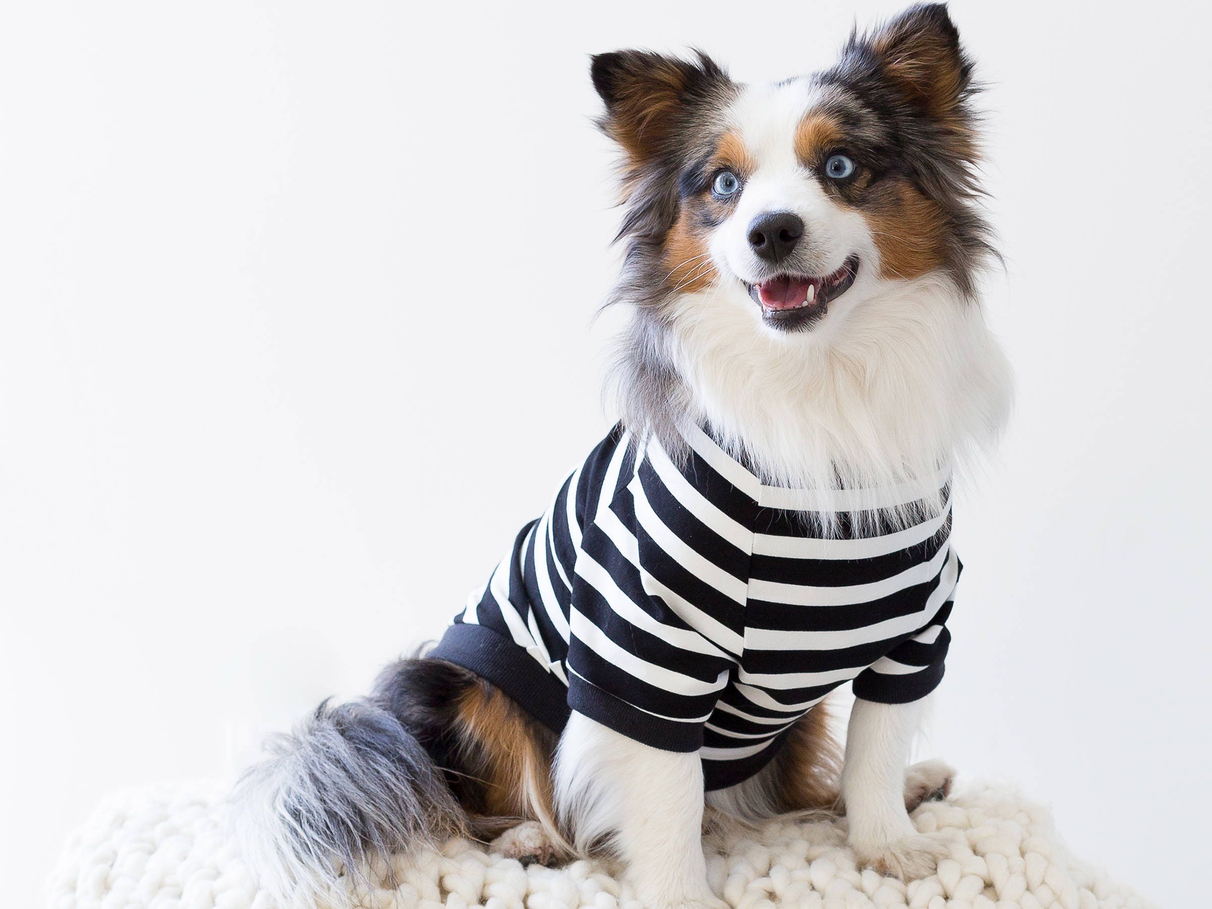 dog striped shirt