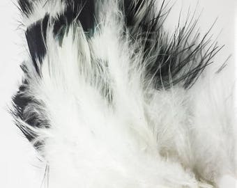 Black and White Marabou Feathers 4-6 inches, 6 grams used in Native American Craft