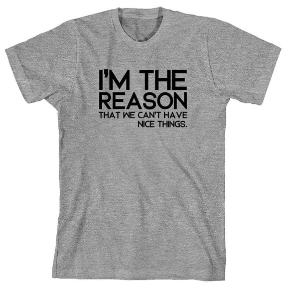 I'm The Reason That We Can't Have Nice Things Shirt