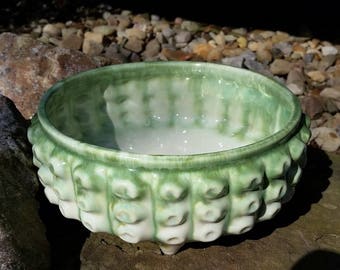 Vintage Planter Succulent Planter Cool Retro Green and White Bumpy Planter
