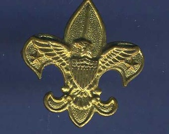 Boy Scout Pin 