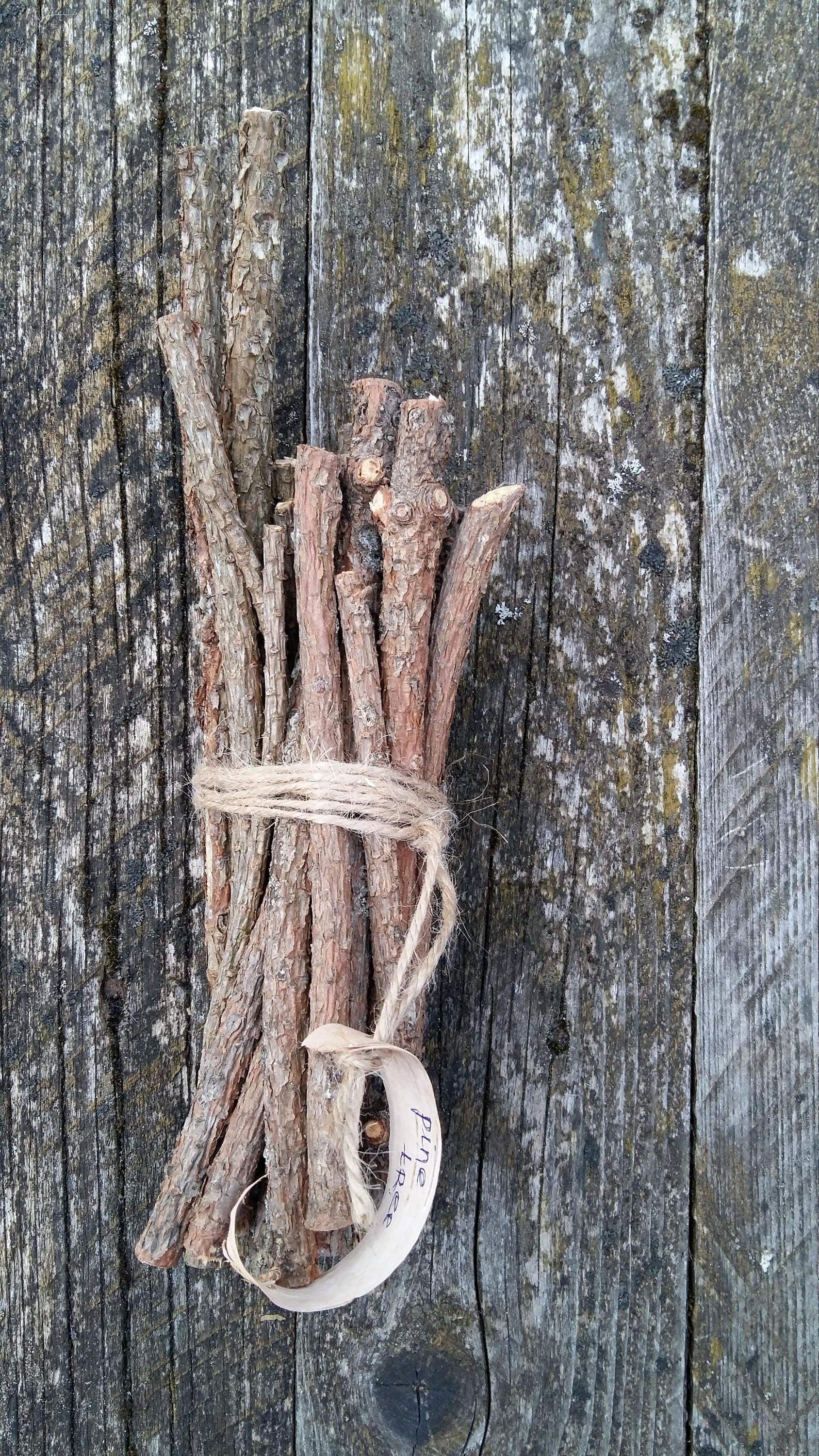 natural pine tree sticks wooden twigs wood branches dried