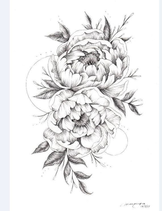 Peony Flower Graphite Drawing A5 Prints