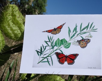 Greeting card - Wanderer Butterflies on a swan plant - Monarch butterflies - Butterflies