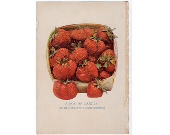 1913 strawberry berries berry fruit print original antique miniature botanical print - strawberries pl 1 - a box of gandys
