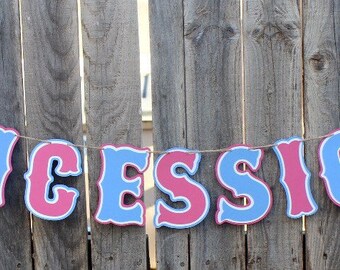 Baseball or Bows Gender Reveal Party - Concessions Banner - Pink or Blue - Boy or Girl - Baby Shower Decoration - Pink or Blue - He or She