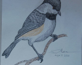 Chickadee drawing | Etsy