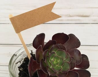 Succulent Plant Flag, Blank Potted Plant Tag, Wedding Favor, Cupcake Tag, Blank Kraft Flags on a bamboo stick