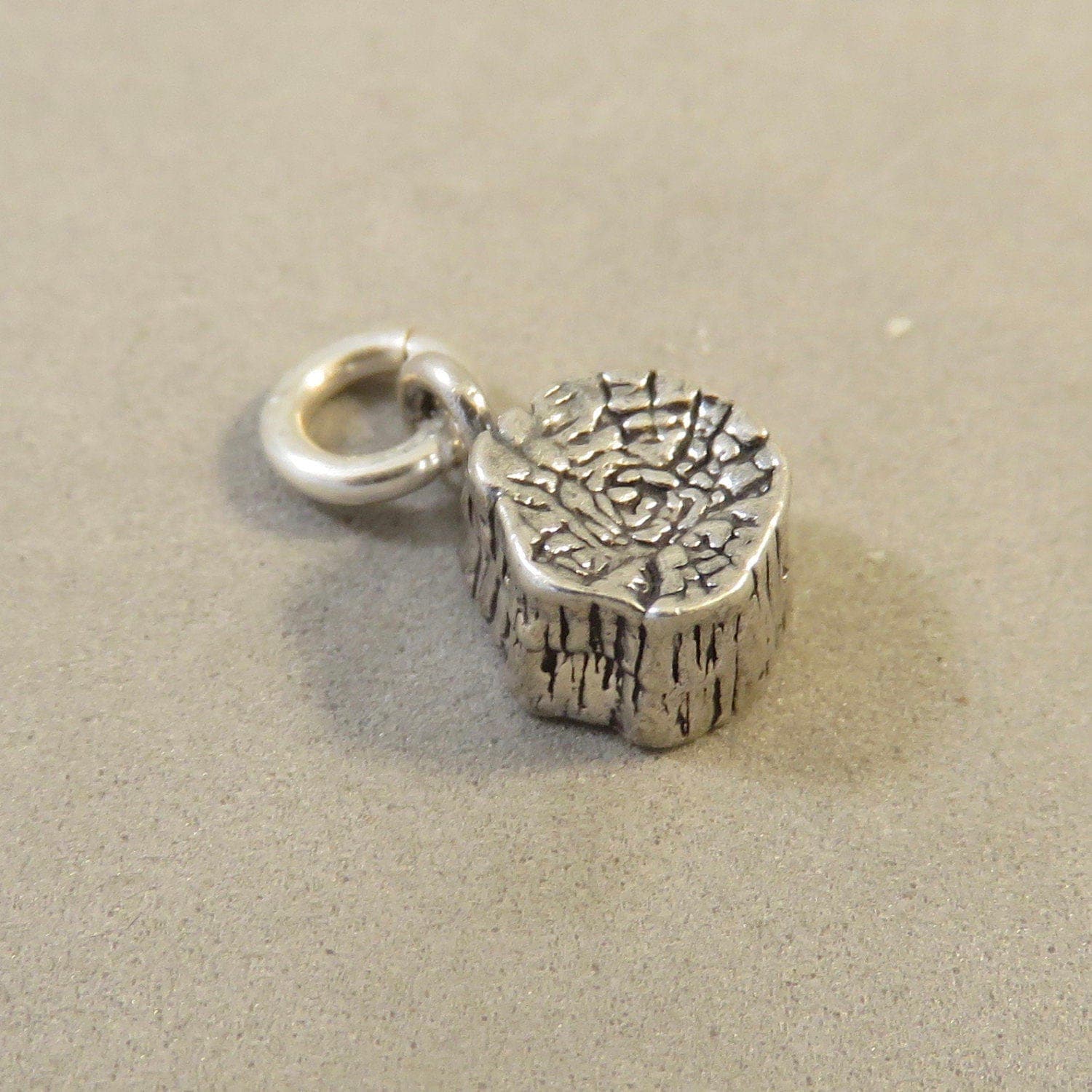PETRIFIED FOREST National Park Charm .925 Sterling Silver Arizona