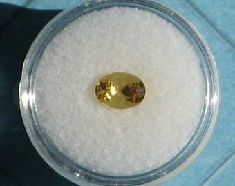 8.05 x 5.95 mm. Heliodor or Golden Beryl. Loose Faceted Oval Gemstone. 1.15 Carat. Yellow. Golden. Collect. Item #1437