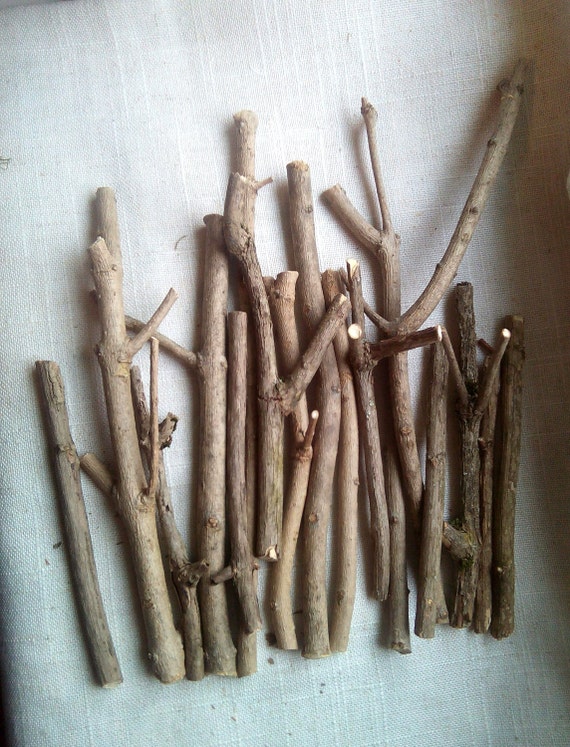 Natural Branches for Craft Cut Branches Wooden sticks Grey