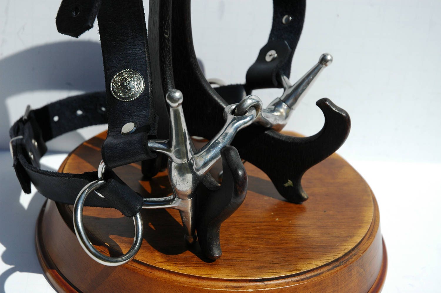 Pony Play Harness Human Bridle Human Pony Bridle Head