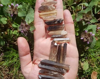 Small Smoky Quartz Points - 5 tiny - Re-birthes Determination, Helps to Achieve Your Personal Legend.