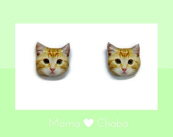Tabby Cat earrings with free gifts, Kitten, Ready to ship, Made in Australia, Cat Lover Gift, Birthday Gift