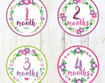 Baby Monthly Stickers- 1-12,Baby Girl,Shower Gift,Photo Prop,Baby month stickers,Girl month stickers