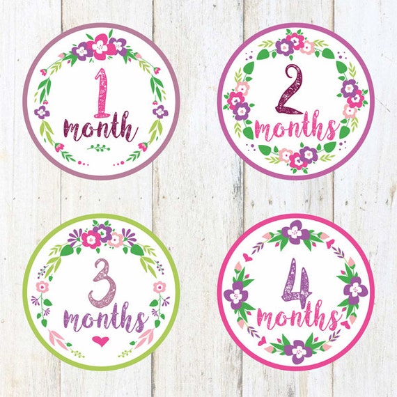 Baby Monthly Stickers 1-12Baby GirlShower GiftPhoto