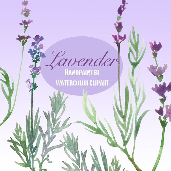 Lavender clipart Printable lavender flower Printable art