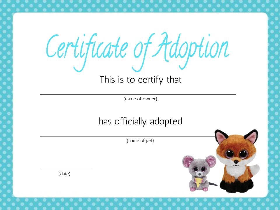 Beanie Boo Adoption Certificate