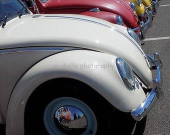 Volkswagon Beetle Parade 8x10 glossy photo by Hunter Cooksey
