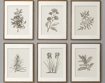 Botanical Prints, Botanical Print Set, Botanical Art, Botanical Wall Art, Botanical Art Prints, Kitchen Decor, Kitchen Wall Art, Wall Art
