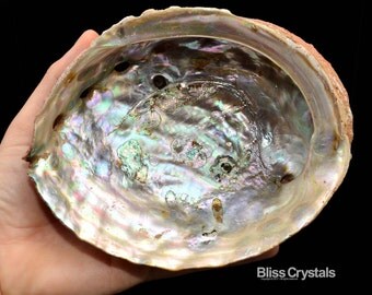 6" XL Sacred ABALONE SHELL for Smudging, Incense, Palo Santo, Herb Burning & Ritual Ceremony #SA01