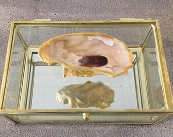 Rectangle oyster glass box