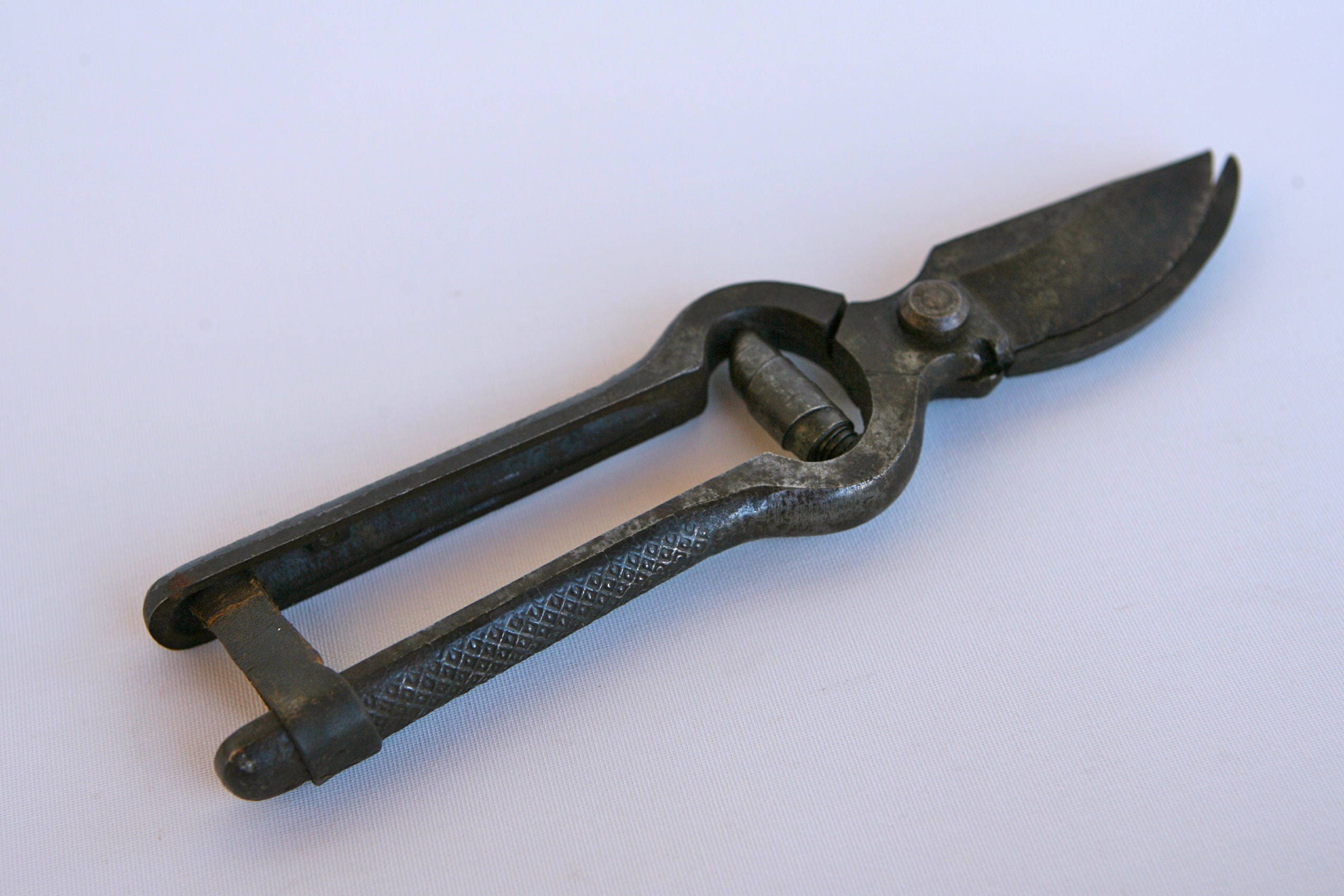 Antique hand pruners/secateurs with leather closer from rusticitalia on