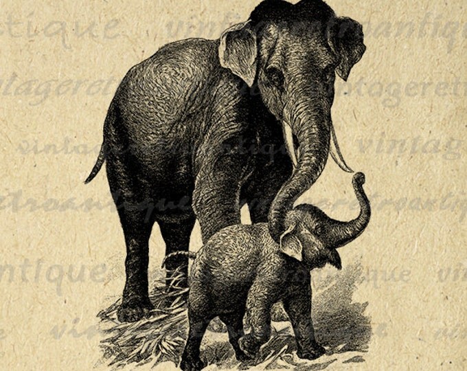 Printable Graphic Elephant and Baby Elephant Download Digital Image Antique Clip Art Jpg Png Eps HQ 300dpi No.3867