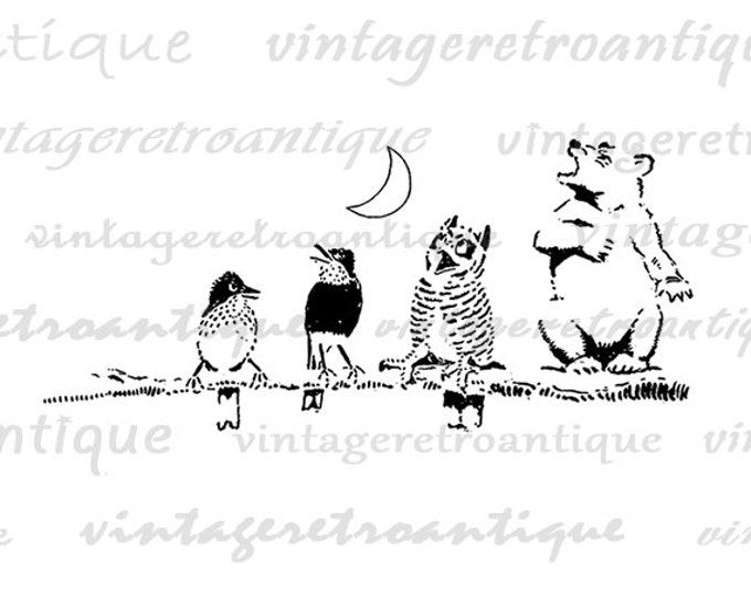 Digital Image Birds and Bear Download Cute Animal Artwork Printable Graphic Antique Clip Art Jpg Png Eps HQ 300dpi No.1703