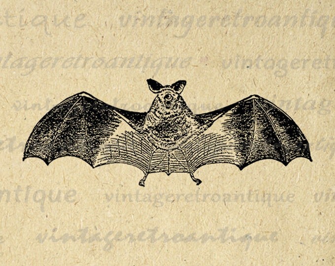 Bat Graphic Image Download Antique Bat Artwork Digital Printable Vintage Clip Art Jpg Png Eps HQ 300dpi No.3894