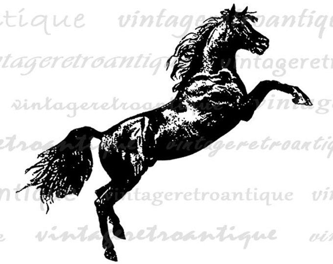 Antique Horse Graphic Printable Download Image Leaping Horse Digital Vintage Clip Art Jpg Png Eps HQ 300dpi No.4060