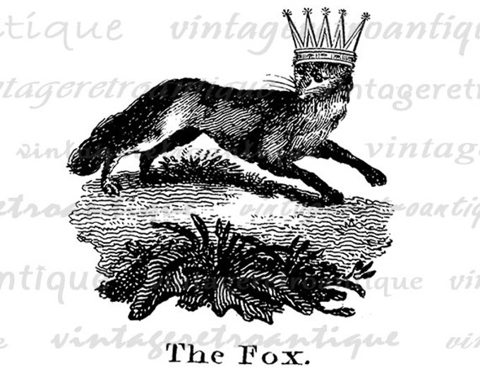 Fox with Crown Digital Image Download Antique Animal Artwork Printable Graphic T-Shirts Jpg Png Eps HQ 300dpi No.1068