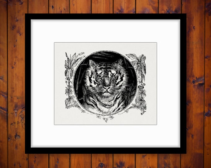 Tiger Graphic Image Printable Illustration Download Digital Antique Clip Art Jpg Png Eps HQ 300dpi No.3303