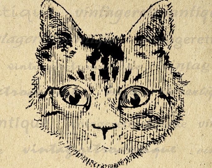 Digital Cat Image Printable Kitten Illustration Graphic Cat Head Face Download Vintage Clip Art for Transfers HQ 300dpi No.3326