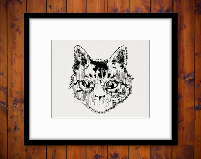 Digital Cat Image Printable Kitten Illustration Graphic Cat Head Face Download Vintage Clip Art for Transfers HQ 300dpi No.3326