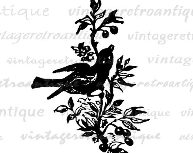 Printable Digital Little Bird Image Download Graphic Illustration Antique Clip Art for Transfers Printing etc HQ 300dpi No.2453