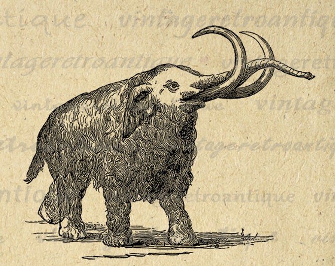 Woolly Mammoth Digital Graphic Printable Image Illustration Download Vintage Clip Art Jpg Png Eps HQ 300dpi No.2854