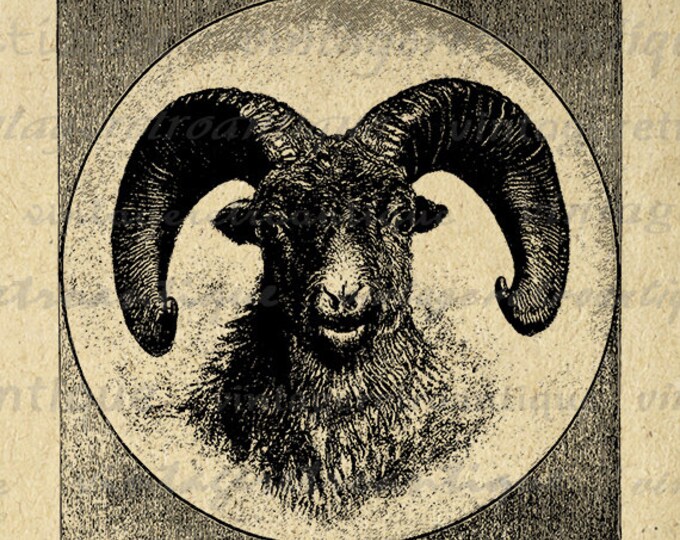 Printable Digital Rocky Mountain Sheep Download Ram Illustration Image Graphic Antique Clip Art Jpg Png Eps HQ 300dpi No.3641