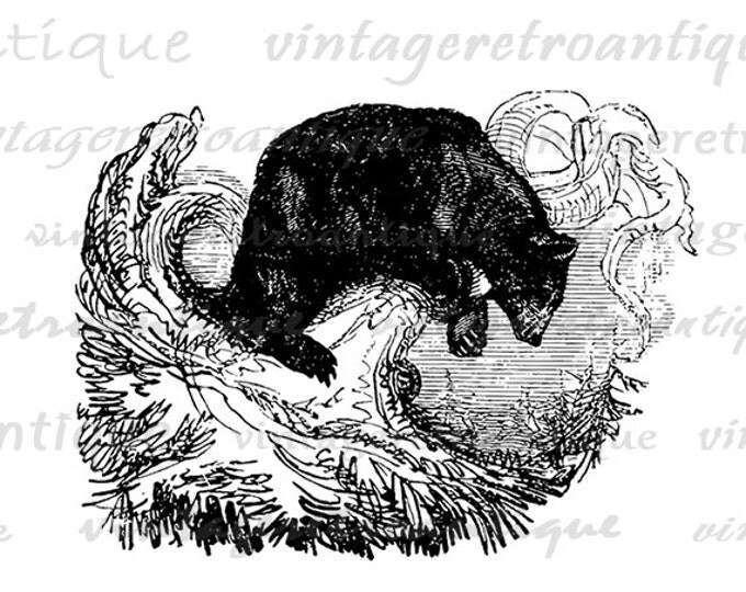 Antique Black Bear Digital Graphic Printable Animal Image Download T-Shirts Jpg Png Eps HQ 300dpi No.489