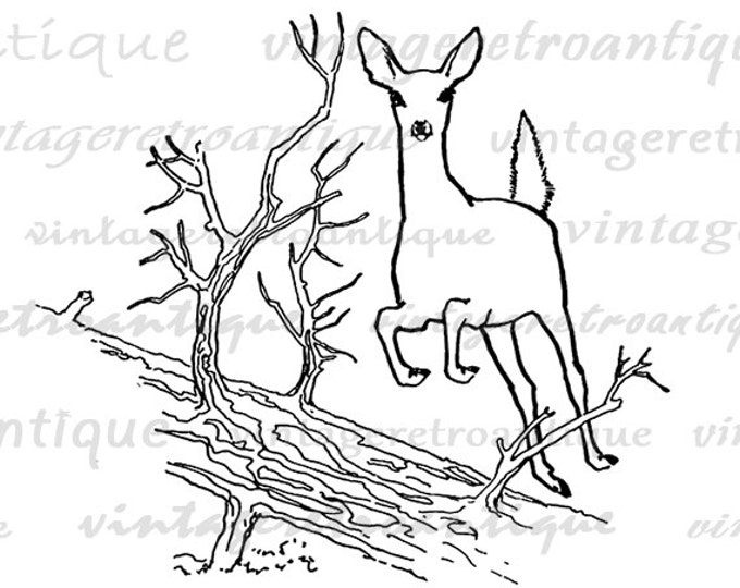 Printable Leaping Deer Image Graphic Download Digital Illustration Antique Clip Art Jpg Png Eps HQ 300dpi No.2168